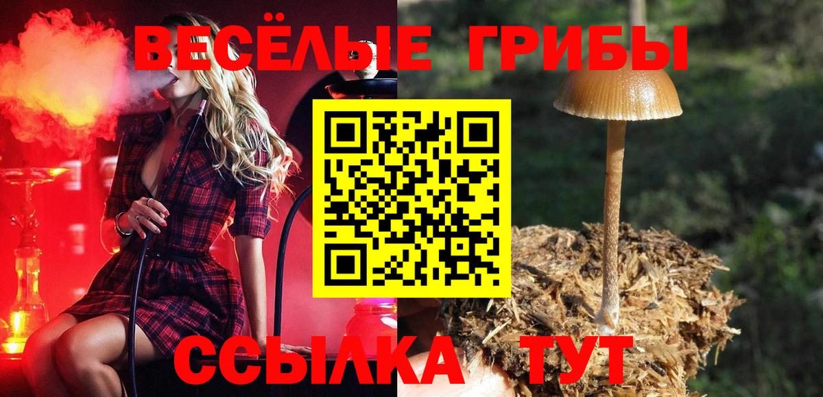 Галлюциногенные грибы Magic Shrooms  Вход с VPN  Химки  Галлюциногенные грибы мицелий 